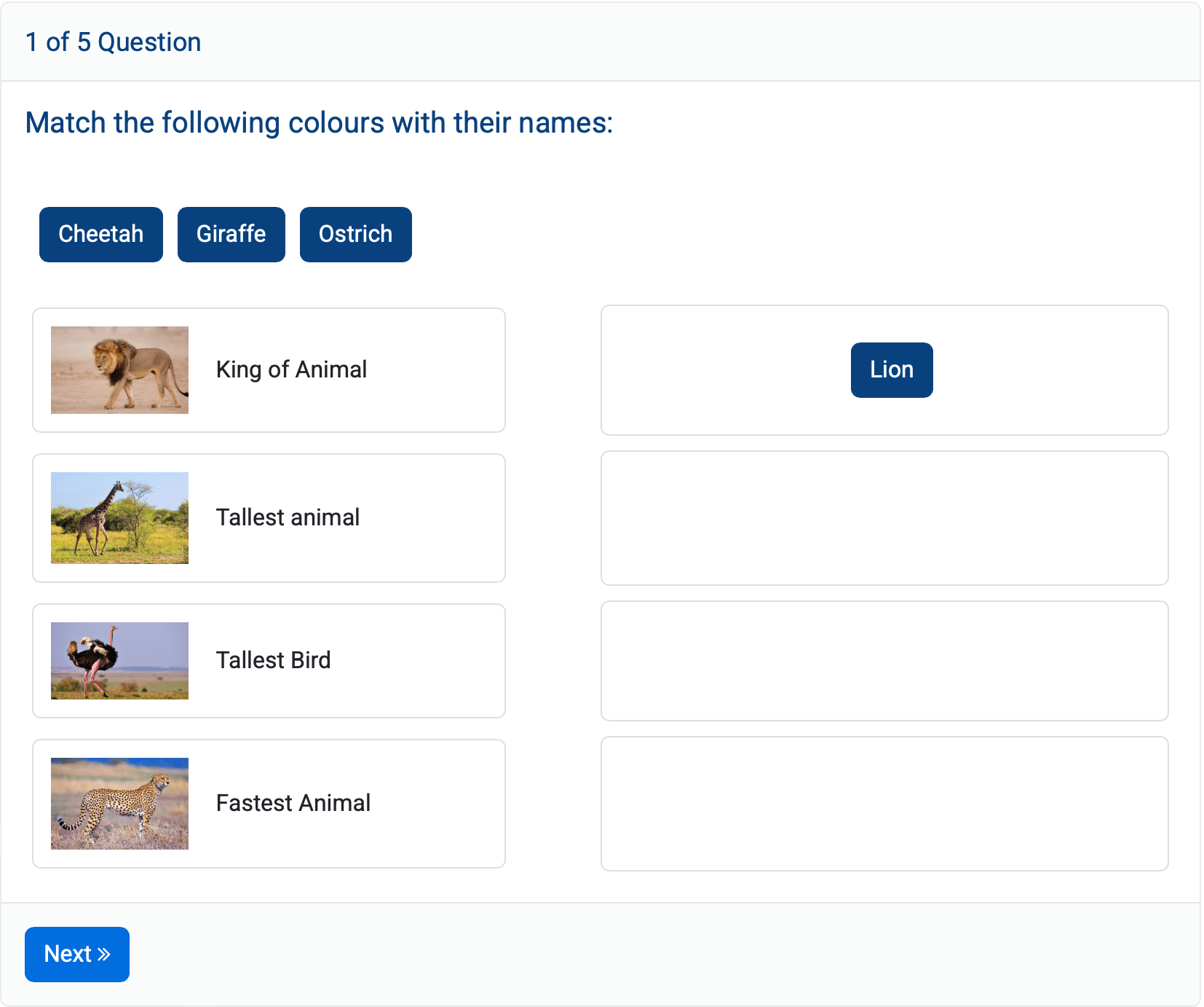 Create quizzes with MCQ, true/false, short answer, time limits, random questions, and batch assignments.