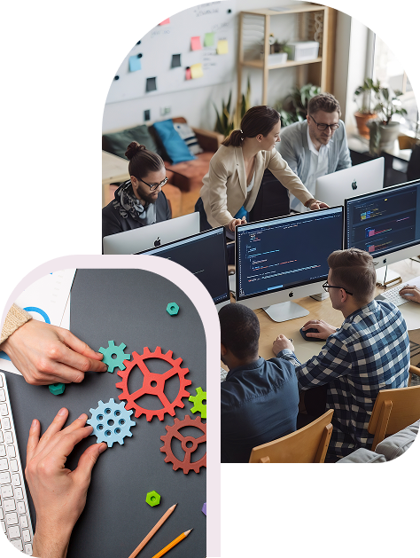 Installation and training